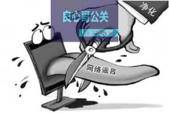 「乐视网络公关」网络舆情不同种类，应有不同