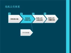 「舆情处理报告」营销传播手段很多种